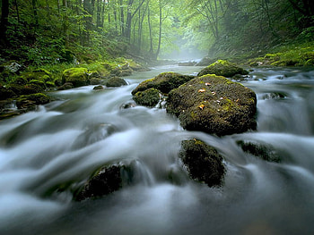 green paradise, river, water, rocks, forest, stream HD wallpaper