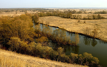 Nature, Rivers, Fields, Autumn, Russia, Day HD wallpaper