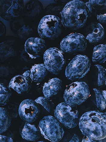 Best blueberry , stock , -perfect fruit, High-resolution HD phone wallpaper