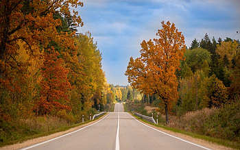 Autumn Road in Latvia, autumn, Latvia, trees, road HD wallpaper