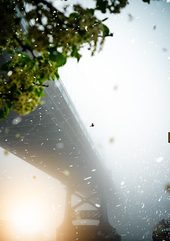 Miscellanea, Miscellaneous, Bird, Fog, Bridge, Snowstorm HD phone wallpaper