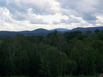 Mountain of trees, trees, mountain sky HD wallpaper