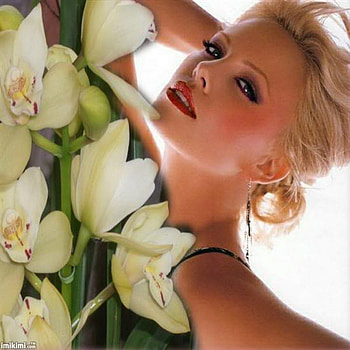 orchid beauty, orchid, white, blond, beauty HD wallpaper