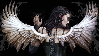 Gothic, Dark, Angel, Wings HD wallpaper