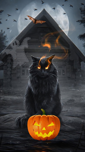 Halloween, ghost, bat, cat, pumpkin HD phone wallpaper