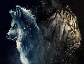 Wolf And Tiger, abstract, tiger, fantasy, animals, wolf HD wallpaper