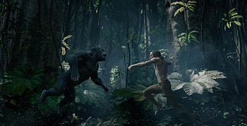 David Yates, The Legend of Tarzan, Special effects, South China Morning Post HD wallpaper