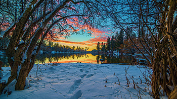 Perfect sunset on a rare cloudless evening in Depoe Bay, Oregon, winter, snow, trees, clouds, sky, water, reflections, sunset HD wallpaper