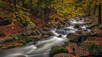 Fall Falls by MDonna, fall, river, creek, autumn, waterfalls, Firefox themes, stream HD wallpaper