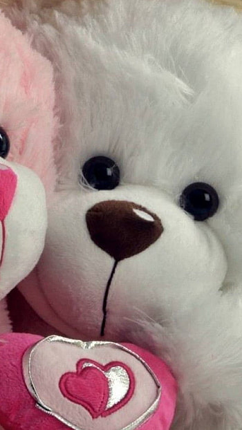 Teddy Bear, romanticc HD phone wallpaper