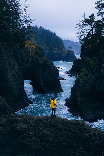Nature, Sea, Rock, Forest, Journey HD phone wallpaper