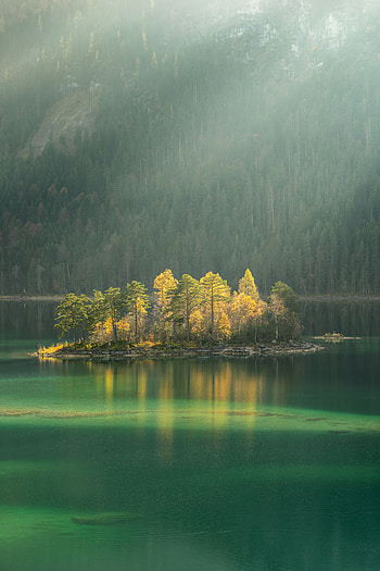 Nature, Trees, Lake, Fog, Island HD phone wallpaper