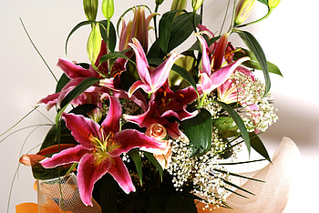 Flower Bouquet Lilium in Bloom, bouquet, beautiful, nature, flowers HD wallpaper