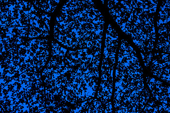 Sky, Leaves, Dark, Wood, Tree, Pattern, Branches HD wallpaper