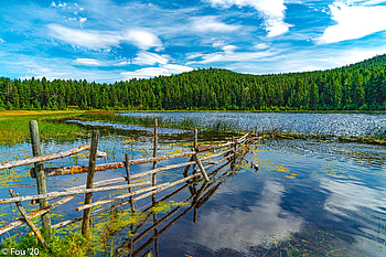Nature, Trees, Mountains, Lake, Fence HD wallpaper