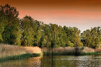 Nature, Trees, Sunset, Grass, Lake HD wallpaper