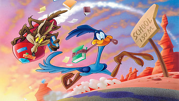 Looney Tunes, Road Runner , Backgrounds HD wallpaper