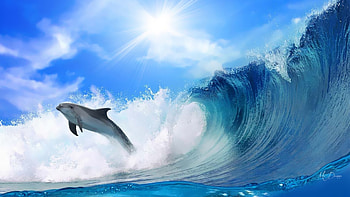 Surfing Dolphin, sea, sunlight, sky, dolphin, wave, surf HD wallpaper