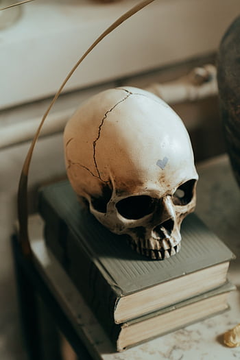 A gothic still life featuring a human skull on a stack of antique books, evoking themes of death and mystery. HD phone wallpaper