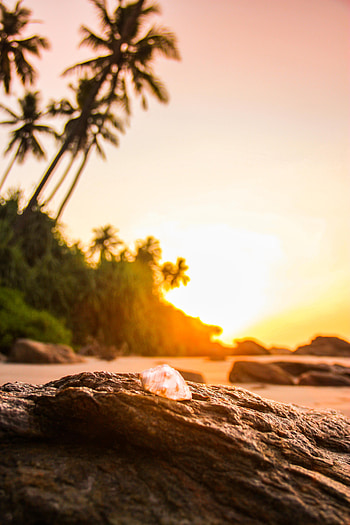 Nature, Sunset, Beach, Rock, Rocks, Stone, Shell HD phone wallpaper