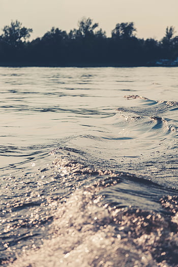 Serene view of gentle waves on a lake with a tree-lined shore at sunset. HD phone wallpaper
