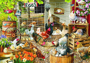 chicken paradise, chicken, birds, country, animals HD wallpaper