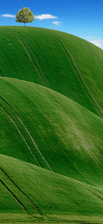 Meadow scenery, Rural beauty, Awe-inspiring hills, Clear blue sky HD phone wallpaper