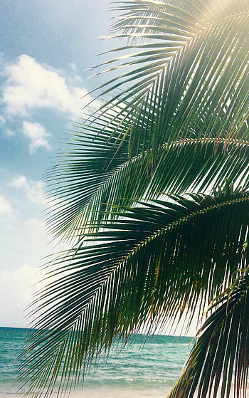 Jamaica, Summer HD phone wallpaper