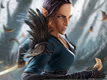 Drakensang, girl, elf, drakensang- the river of time, adventure, action, fantasy, video game, , assassin HD wallpaper