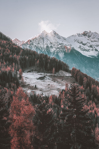 Nature, Trees, Mountains, Autumn, View From Above, Forest HD phone wallpaper
