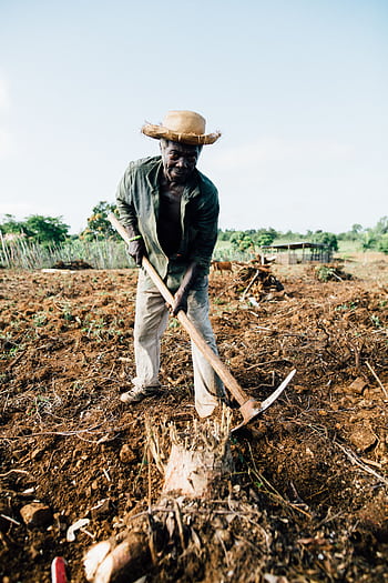 An African farmer wearing a straw hat tills the soil with a spade in a rural countryside field. HD phone wallpaper