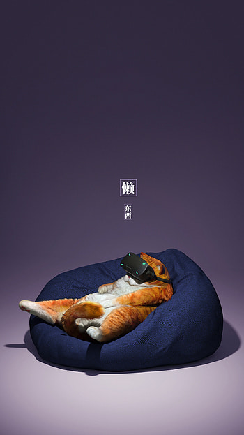 Funny, Miscellanea, Miscellaneous, Cat, Cool, Spectacles, Glasses, Virtual Reality HD phone wallpaper