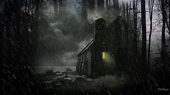Dark Rainy Night, lighted window, rain, woods, fall, creepy, Firefox Persona theme, cabin, scay, Halloween, trees, forest HD wallpaper