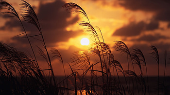 Landscape, Sunset HD wallpaper