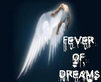 fever of dreams, feathers, fantasy, dream, young HD wallpaper