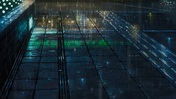 The Garden of Words hintergrund, Makoto Shinkai hintergrund, fanpop HD wallpaper
