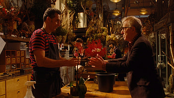 Woody Allen, Fading gigolo, Blu ray review, Director's cool HD wallpaper