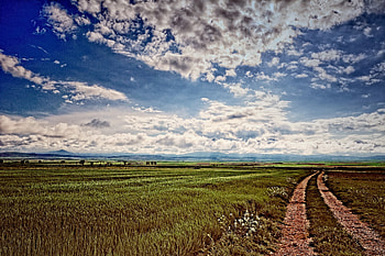 Landscape, Nature, Road, Field HD wallpaper