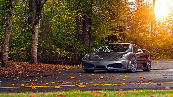 scuderia sports car autumn luxury, Backgrounds . HD wallpaper