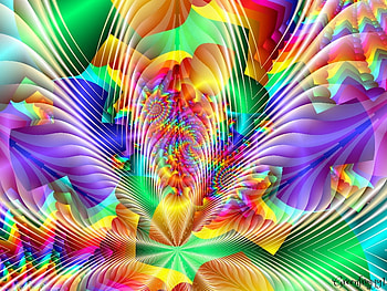 FEATHERS OVERLAY, PRETTY, COLOURED, ABSTRACT HD wallpaper