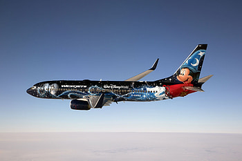 WestJet, Boeing B737 800, Cyber attack, Canadian airline HD wallpaper
