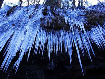 Ice Beauty, winter, frozen, icicles, ice HD wallpaper