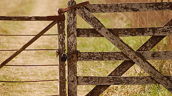 the open path, brown, country, path, fence HD wallpaper