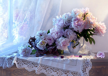Still life, Tablet, Cherries, Peonies, Window HD wallpaper