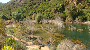 NATURE, greece, kreta, rethimno, lake HD wallpaper