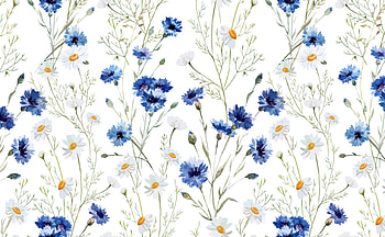 Minimalist Floral Laptop , Cute Flower Computer HD wallpaper