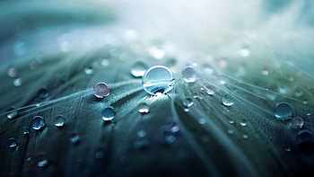 Android Find best latest Android for your PC background & mobile HD wallpaper