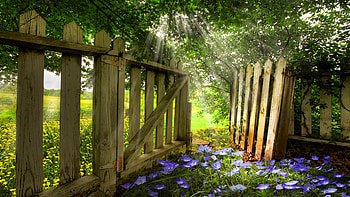 Garden of Eden, blossoms, fence, gate, blue, landscape, spring HD wallpaper