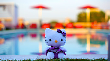 Miscellanea, Miscellaneous, Kitty, Kitten, Toy, Nice, Sweetheart, Bow HD wallpaper