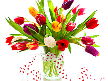 Lovely Tulips, bouquet, colors, spring, tulips, white tulip, sweet, white, white tulips, ribbon, vase, colorful tulips, still life, purple, pretty, with love, nature, romantic, yellow tulip, lovely, for you, colorful, tulip, graphy, yellow tulips, purple tulips, beauty, red tulips, purple tulip, spring time, colorful flowers, spring flowers, red tulip, beautiful, romance, red, yellow, flowers HD wallpaper